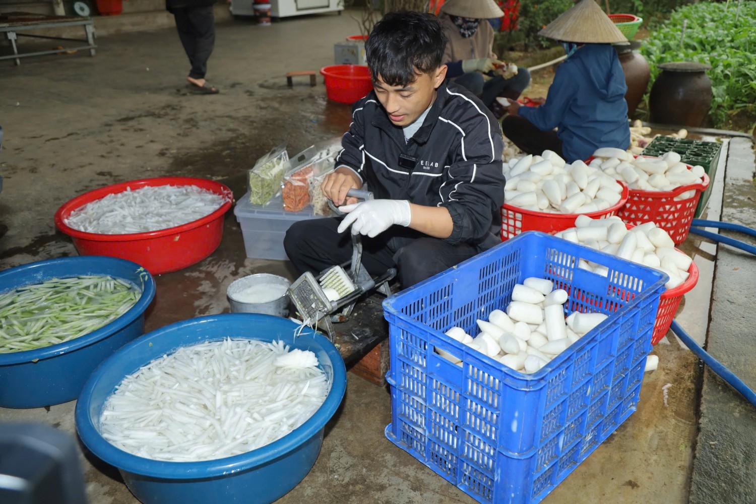 Nông dân Hoàng Mai xây dựng mô hình sản xuất nông nghiệp công nghệ cao gắn với liên kết chuỗi giá trị