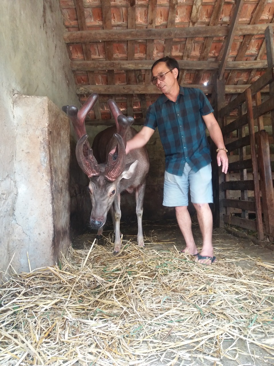 t3 mo hinh nuoi nai cua ho anh bui van hau thon 1 xa quynh loc